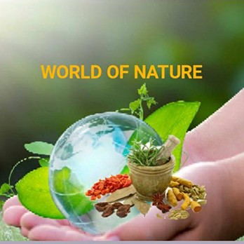 World of Nature: empowering health and nutrition retail with Posterita
